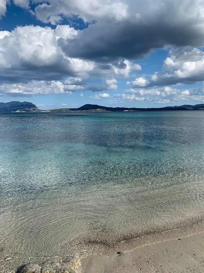 Villa Rosa Dei Venti - Casa Maestrale - Sardegna - Iun R2217 Olbia 0*,  Italien