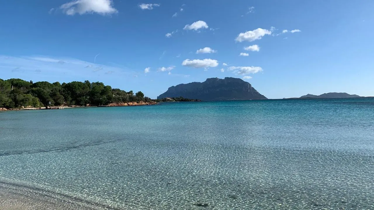 Ferienhaus Villa Rosa Dei Venti - Casa Maestrale - Sardegna - Iun R2217 Olbia